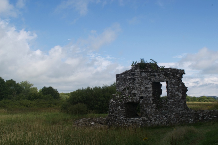 Threave Castle ruin and meadow